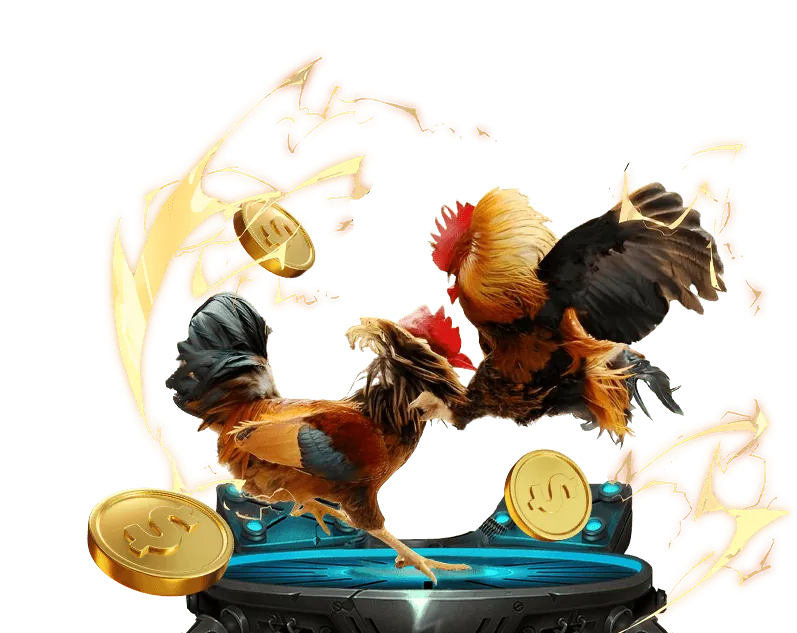 Trò chuyện trực tuyến 24/7